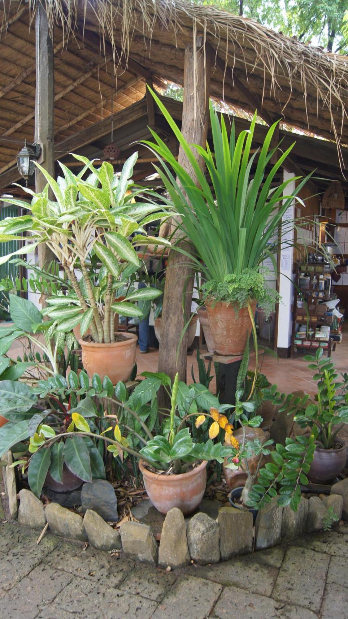 נונג קאי Mut Mee Garden Guest House מראה חיצוני תמונה