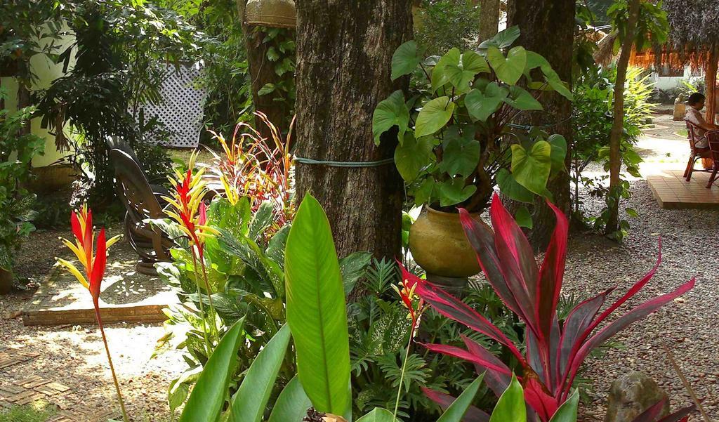 נונג קאי Mut Mee Garden Guest House מראה חיצוני תמונה
